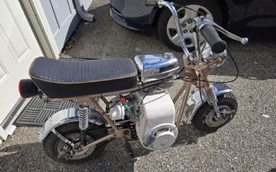 Photo of a 1968 Rupp TT500 Minibike for sale