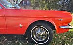 1964 Mustang Thumbnail 68