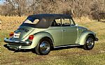 1979 Beetle Thumbnail 12