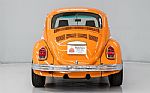 1972 Beetle Thumbnail 5