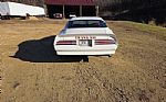 1976 Trans Am Thumbnail 6