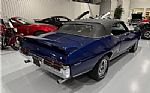 1969 GTO Thumbnail 15