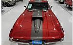 1966 Corvette Thumbnail 16