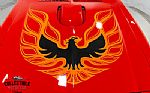 1974 Trans Am Thumbnail 47