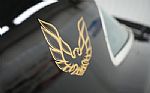 1976 Firebird Trans Am Thumbnail 15