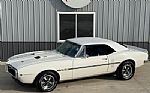 1967 Firebird Thumbnail 2