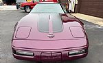 1995 Corvette Thumbnail 5