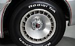 1979 Trans Am 10th Anniversary Thumbnail 9