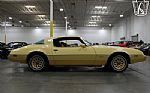 1980 Firebird YellowBird Thumbnail 24