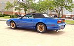 1991 Firebird Thumbnail 14