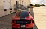 2017 Mustang Shelby Cobra GT350 Thumbnail 10