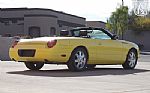 2004 Thunderbird Thumbnail 29
