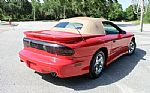 1995 Firebird convertible Thumbnail 15