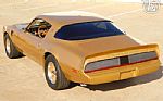 1979 Firebird Trans Am Thumbnail 14
