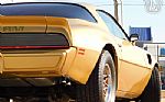 1979 Firebird Trans Am Thumbnail 54