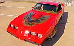 1980 Firebird Trans Am Tribute Thumbnail 3