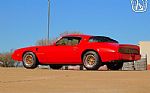 1980 Firebird Trans Am Tribute Thumbnail 12