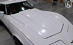 1979 Corvette Thumbnail 35