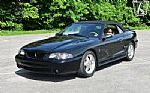 1995 Mustang SVT Cobra Cobra Thumbnail 4