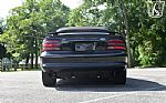 1995 Mustang SVT Cobra Cobra Thumbnail 14