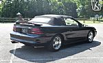 1995 Mustang SVT Cobra Cobra Thumbnail 16