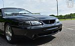 1995 Mustang SVT Cobra Cobra Thumbnail 52