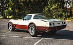 1981 Corvette Thumbnail 10