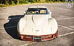 1981 Corvette Thumbnail 24