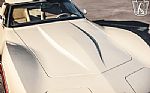 1981 Corvette Thumbnail 54