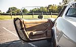1981 Corvette Thumbnail 74