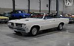 1964 GTO Thumbnail 12