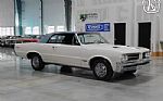 1964 GTO Thumbnail 26