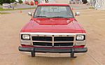 1991 Ram 250 Thumbnail 39
