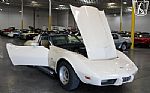 1979 Corvette Thumbnail 41