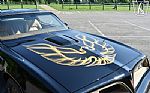 1977 Firebird Thumbnail 60