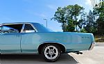 1964 GTO Thumbnail 15
