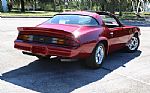 1981 Camaro Z28 Thumbnail 37