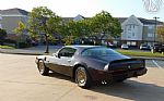 1981 Firebird Thumbnail 6