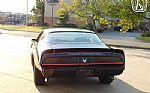 1981 Firebird Thumbnail 8