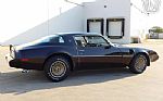 1981 Firebird Thumbnail 13