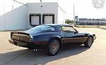 1981 Firebird Thumbnail 12