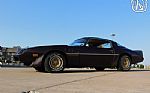 1981 Firebird Thumbnail 23