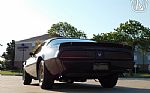 1981 Firebird Thumbnail 27