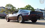 1981 Firebird Thumbnail 26