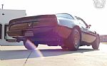 1981 Firebird Thumbnail 31