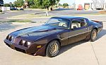 1981 Firebird Thumbnail 42
