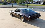 1981 Firebird Thumbnail 46