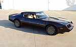 1981 Firebird Thumbnail 55