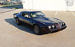 1981 Firebird Thumbnail 56