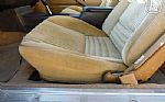 1981 Firebird Thumbnail 64